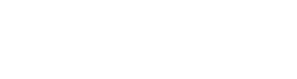 Alcatel Lucent Enterprise Logo blanc