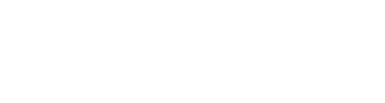Alcatel Lucent Enterprise Logo blanc